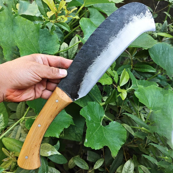 Hand-Forge Bird Wood Cutting Knife