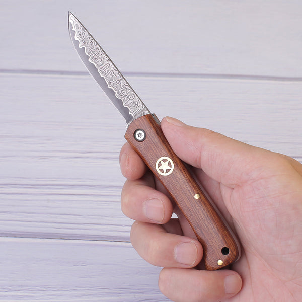 Damascus Steel Pocket Folding Grafting Knife SP508