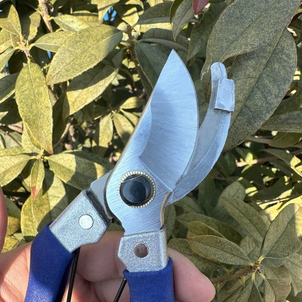 Multifunctional New Design Grafting Shear SP509