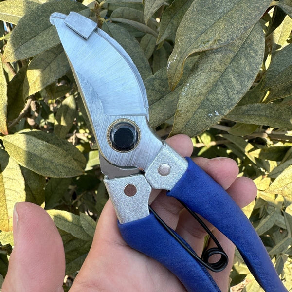 Multifunctional New Design Grafting Shear SP509