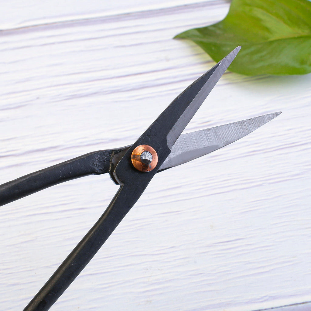 bonsai tree trimmers Bonsai Tree Pruning Scissors For Leaf Bud Twig SP201 – Focuser Carving