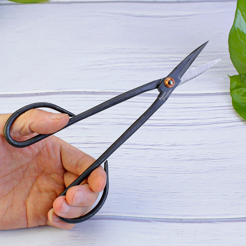 bonsai tree trimmers Bonsai Tree Pruning Scissors For Leaf Bud Twig SP201 – Focuser Carving