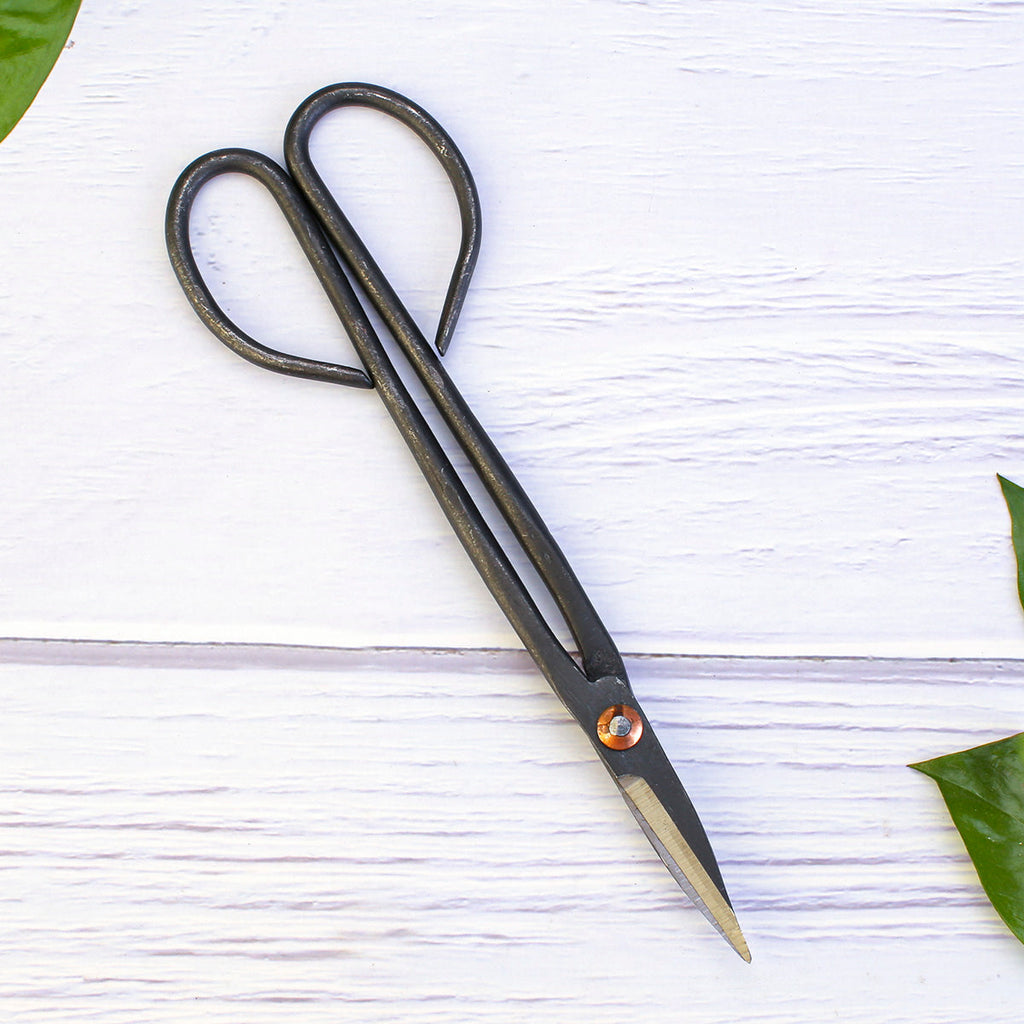bonsai tree trimmers Bonsai Tree Pruning Scissors For Leaf Bud Twig SP201 – Focuser Carving