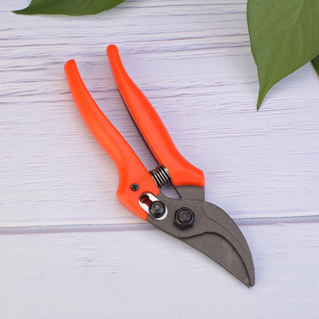 bonsai tree shears SK5 Steel Gardener Tree Bonsai Pruning Shears SP005 – Focuser Carving